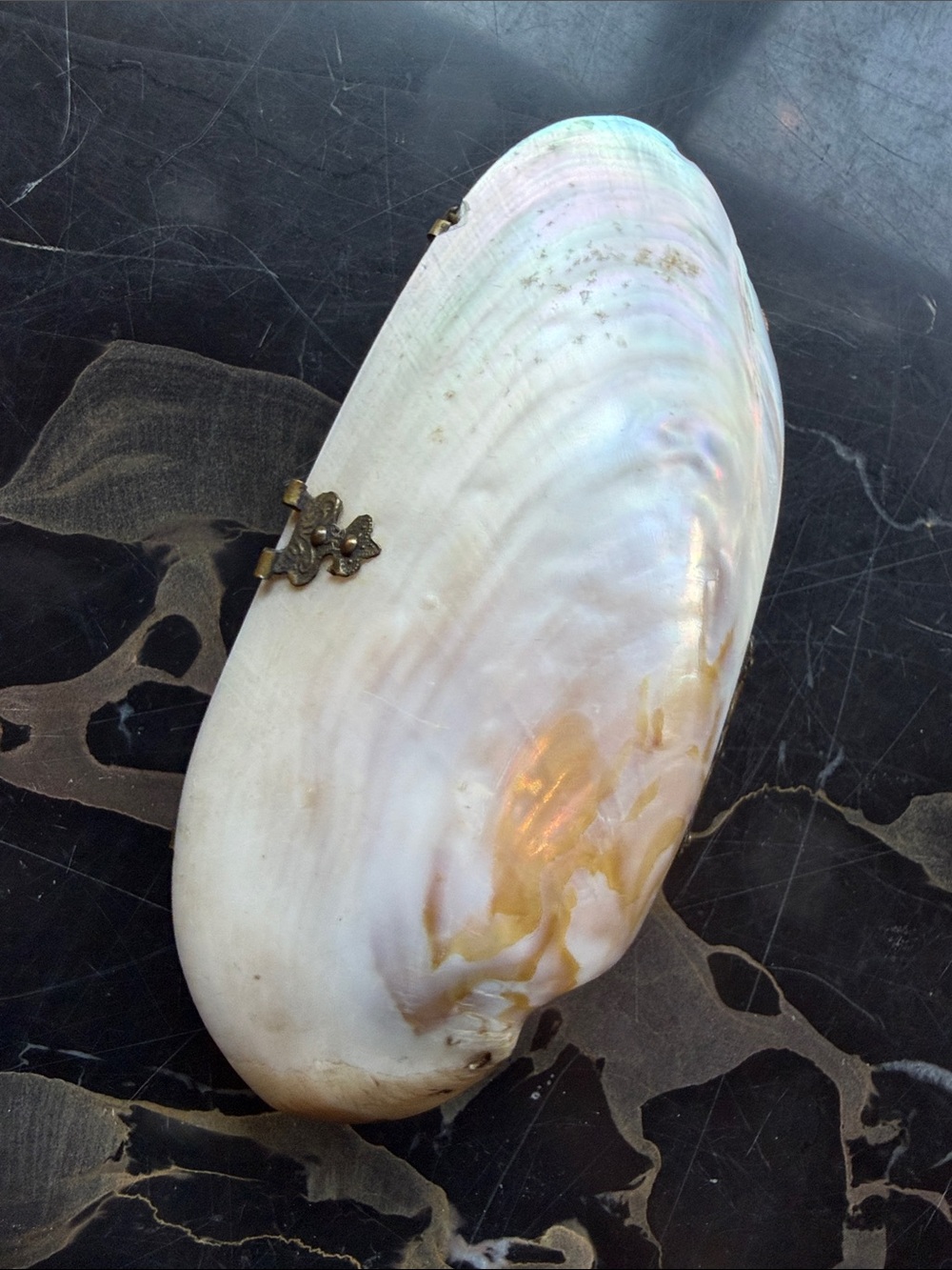 Antique Iridescent White and Gold Shell Mini Bag
